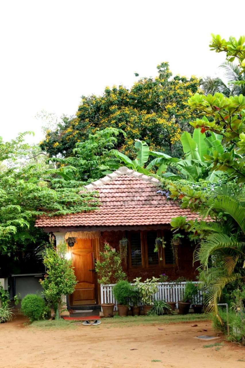 Niyati