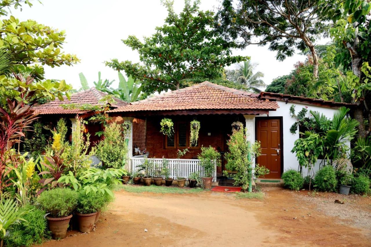 Niyati Homestay