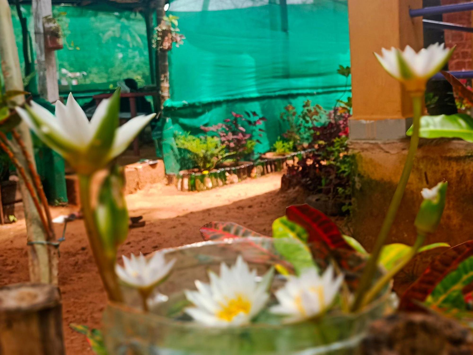 Appaji & Tnt House * Gokarna (Karnataka)
