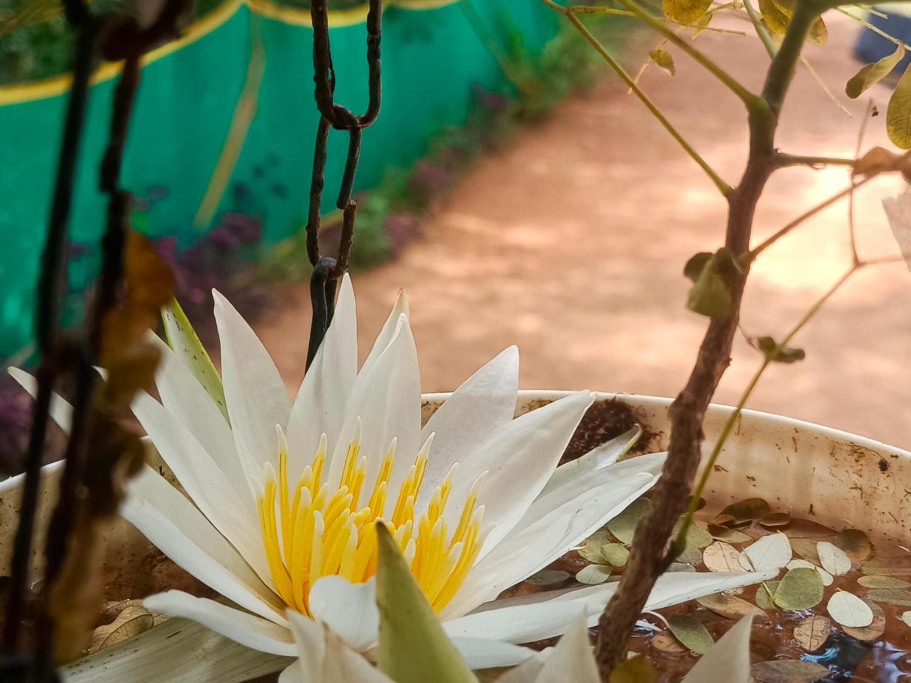 Appaji & Tnt House * Gokarna (Karnataka)