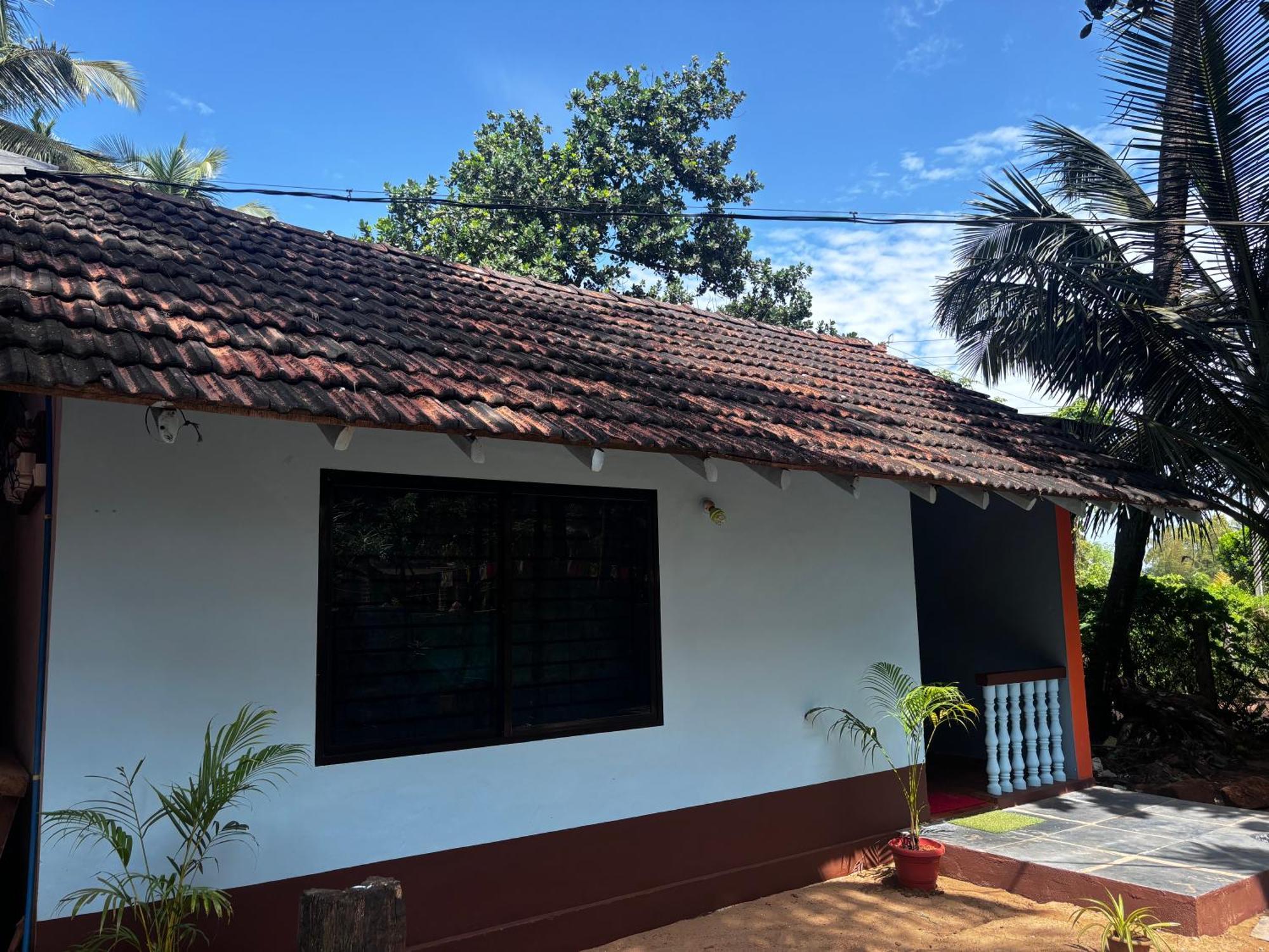 Bluefin Homestay *