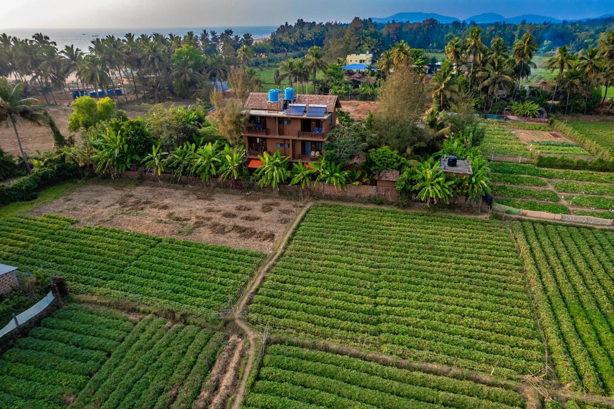 The Beach Melody - Your Beachside Getaway Hotel Gokarna (Karnataka)