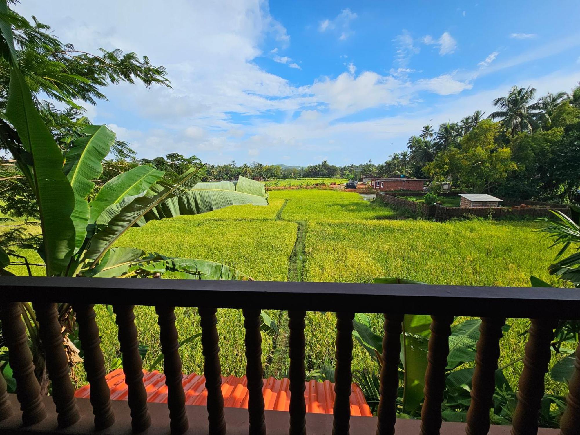The Beach Melody - Your Beachside Getaway Hotel