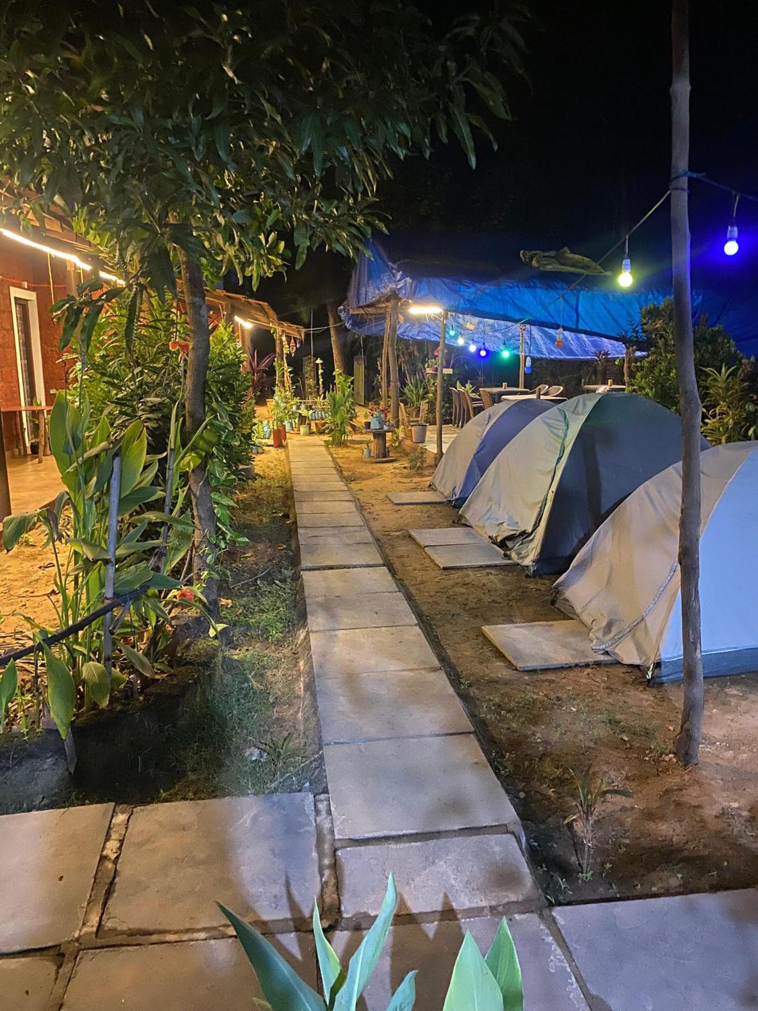 Hostel Tusker Tribe