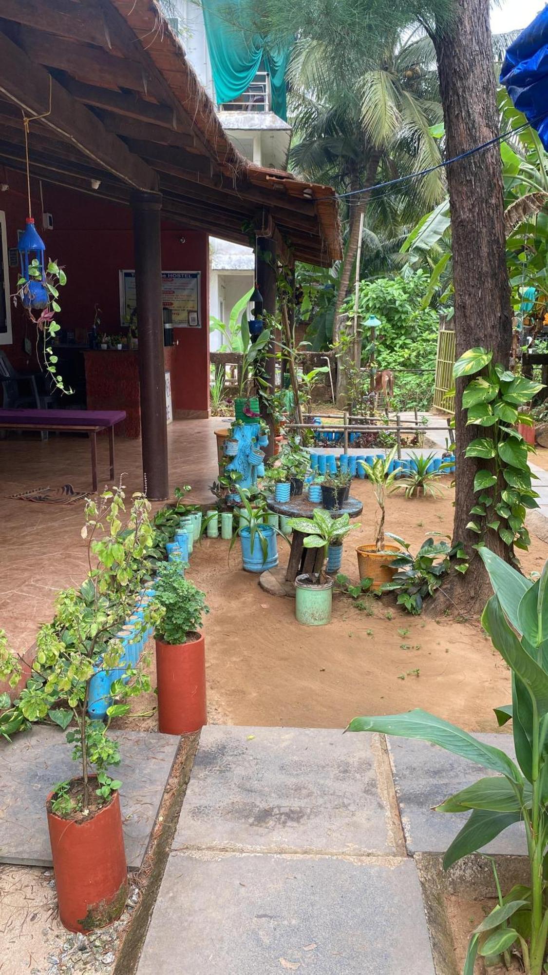 Tusker Tribe Hostel *
