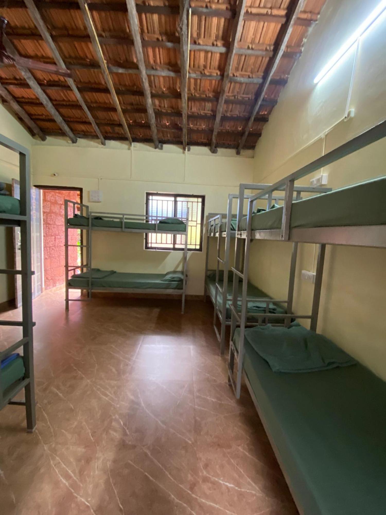 Hostel Tusker Tribe