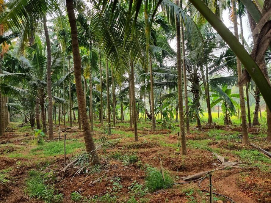 With Ac Near Gokarna Bhavikodla * Gokarna (Karnataka)