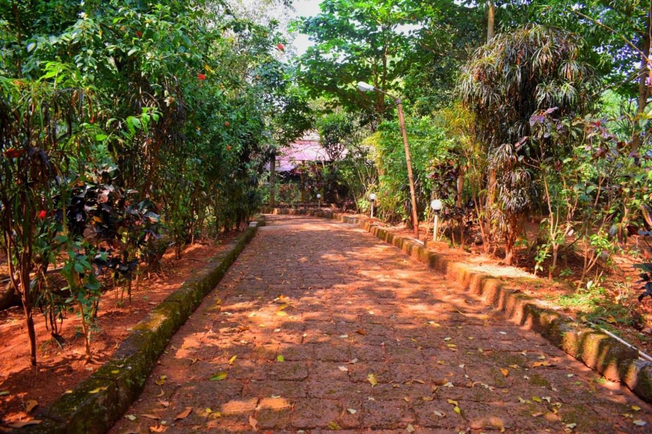 Nature Gokarna (Karnataka)