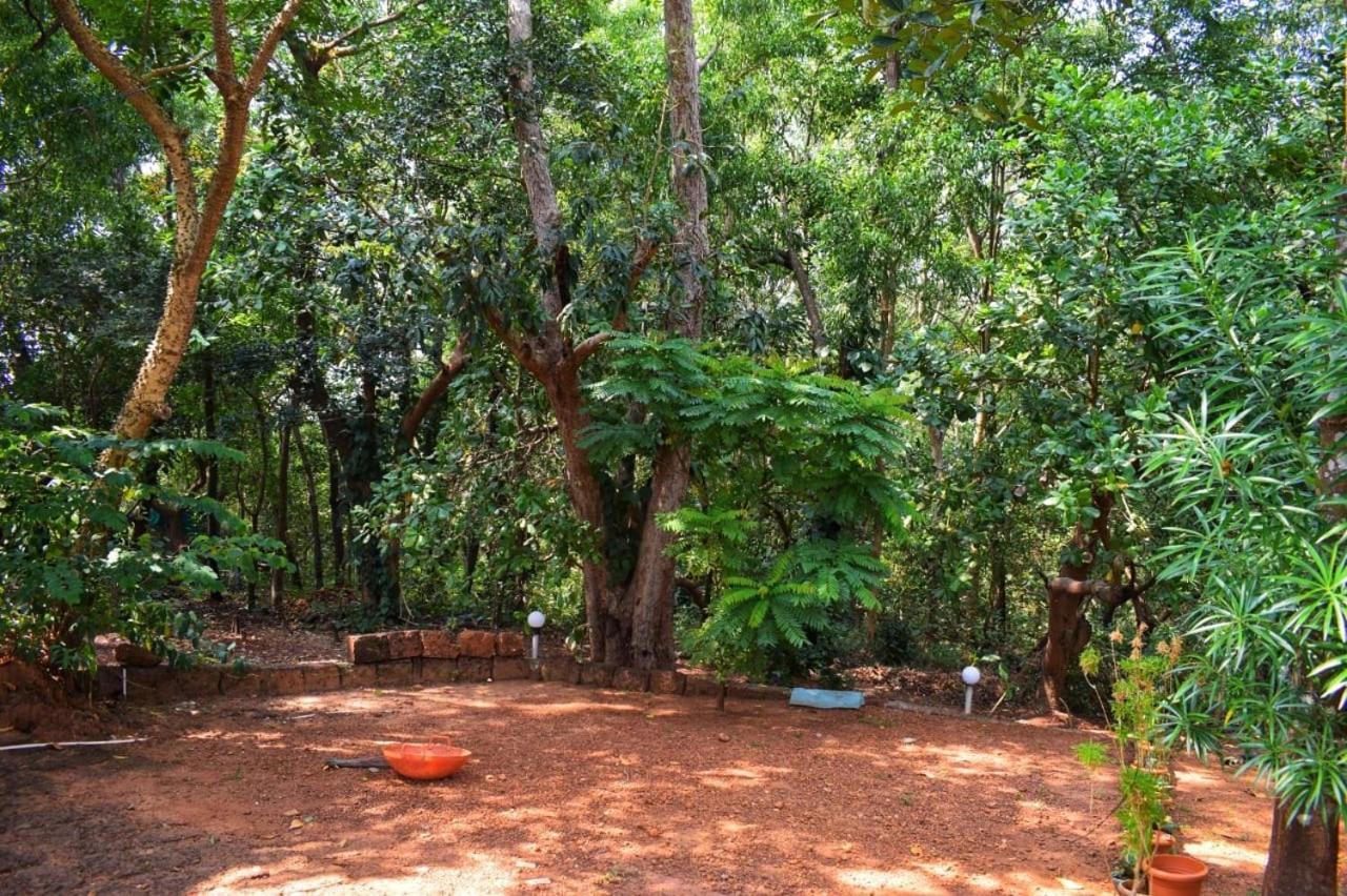 Nature Inn *