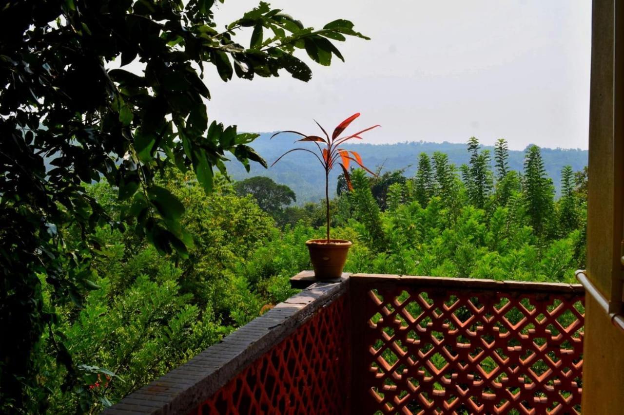 Nature Inn