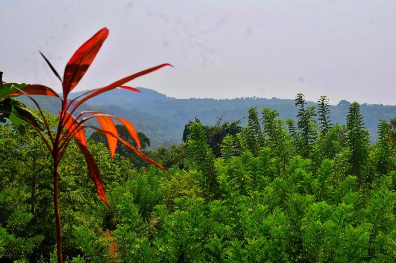 Nature Gokarna (Karnataka)
