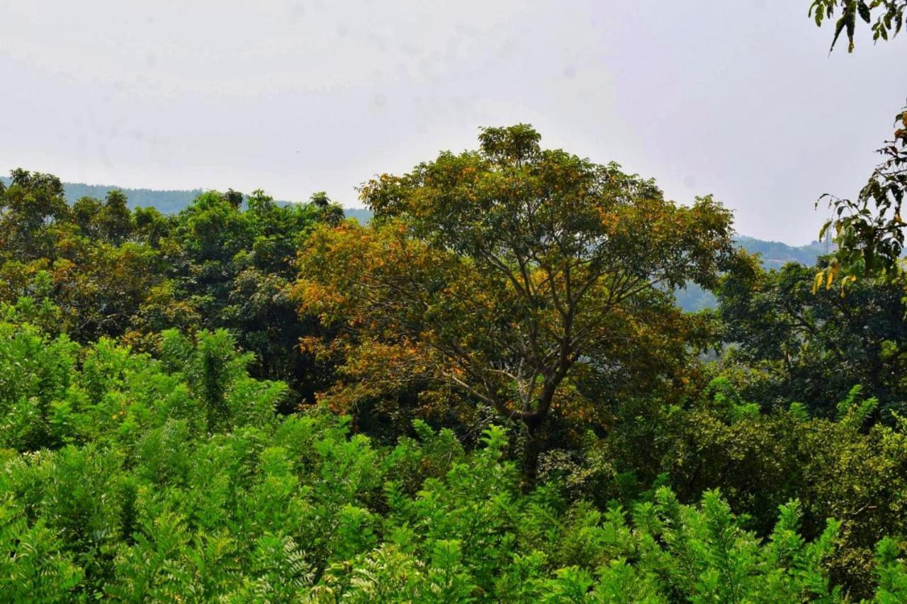 Nature Gokarna (Karnataka)