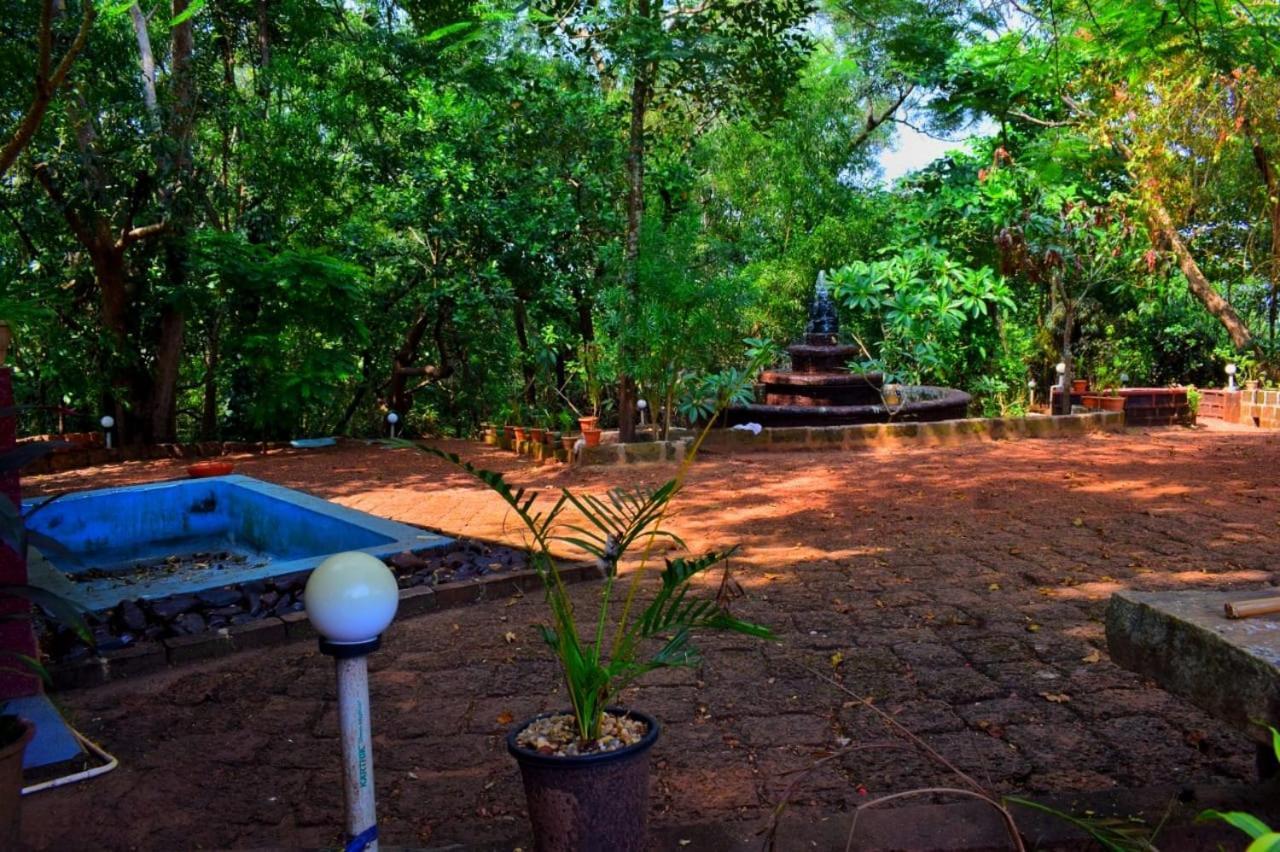 Nature * Gokarna (Karnataka)