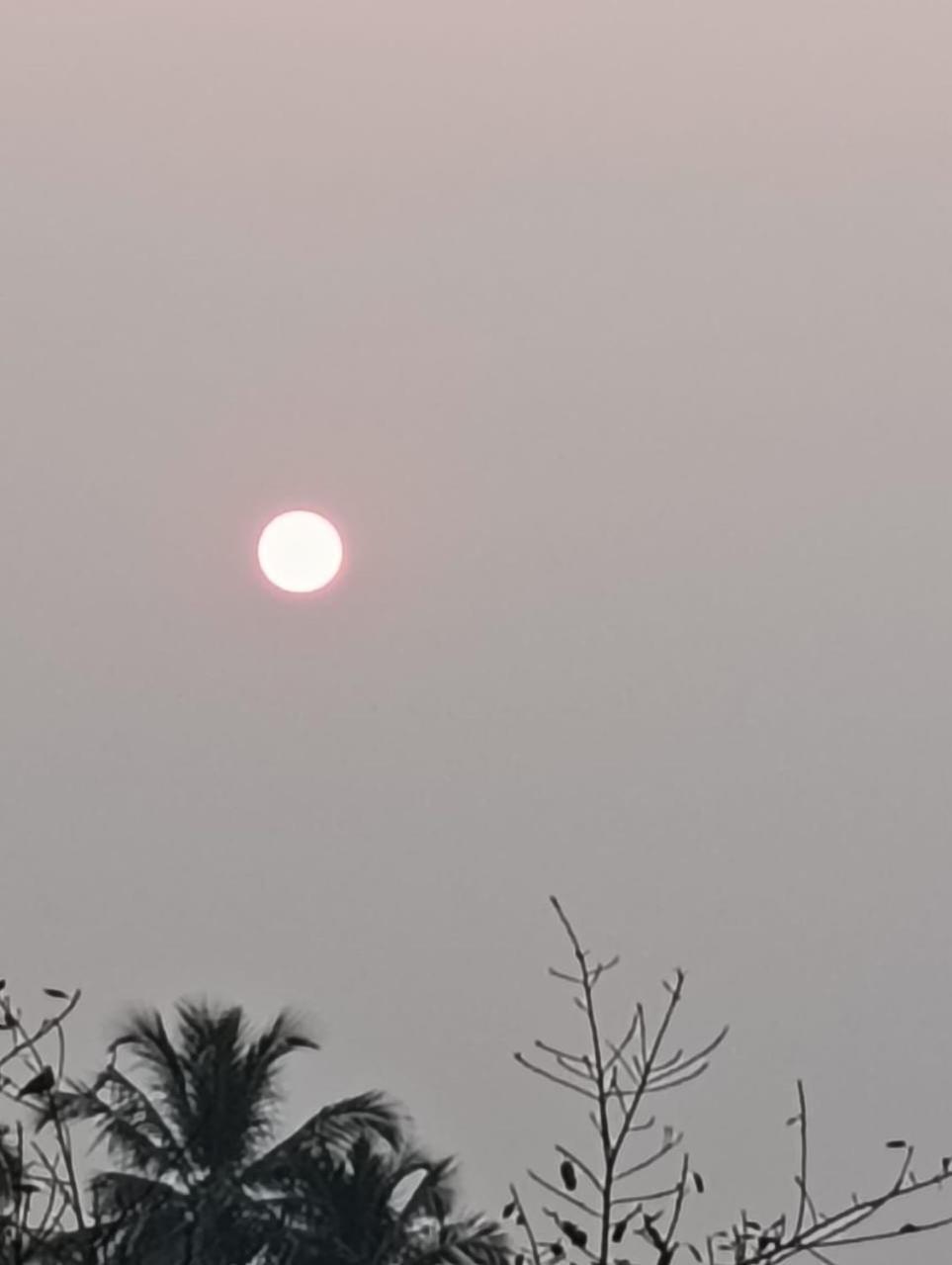 Homestay Parvati Gokarna (Karnataka)
