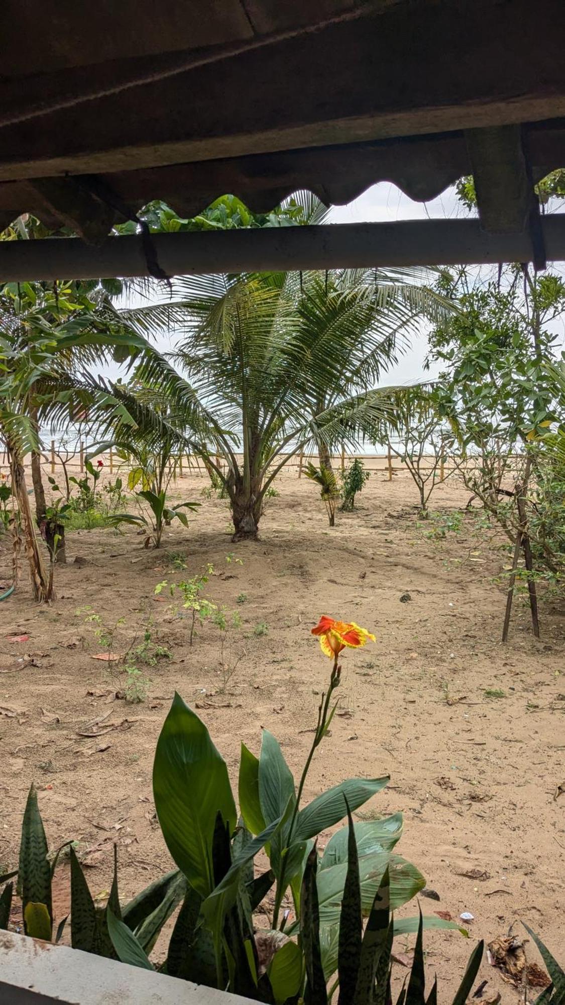 Tantra Beachstay *