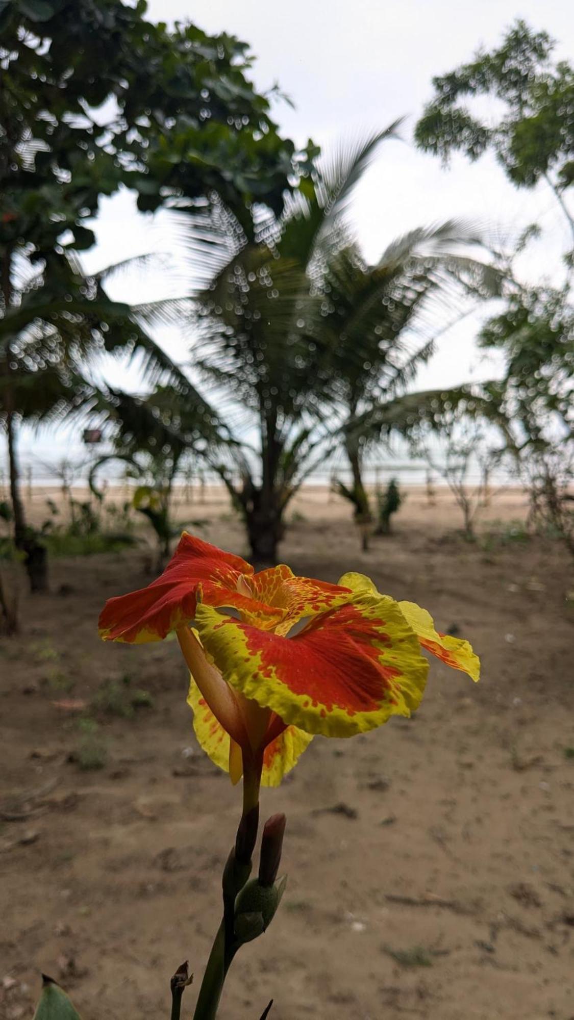 Tantra Beachstay