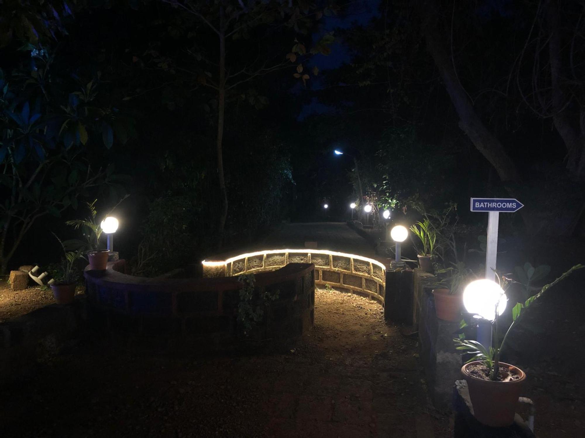 Nature * Gokarna (Karnataka)
