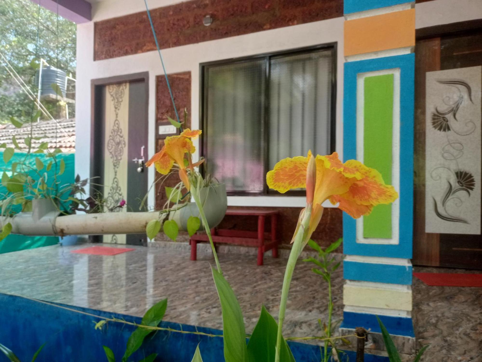 Bed & Breakfast Gangotri Cafe And *