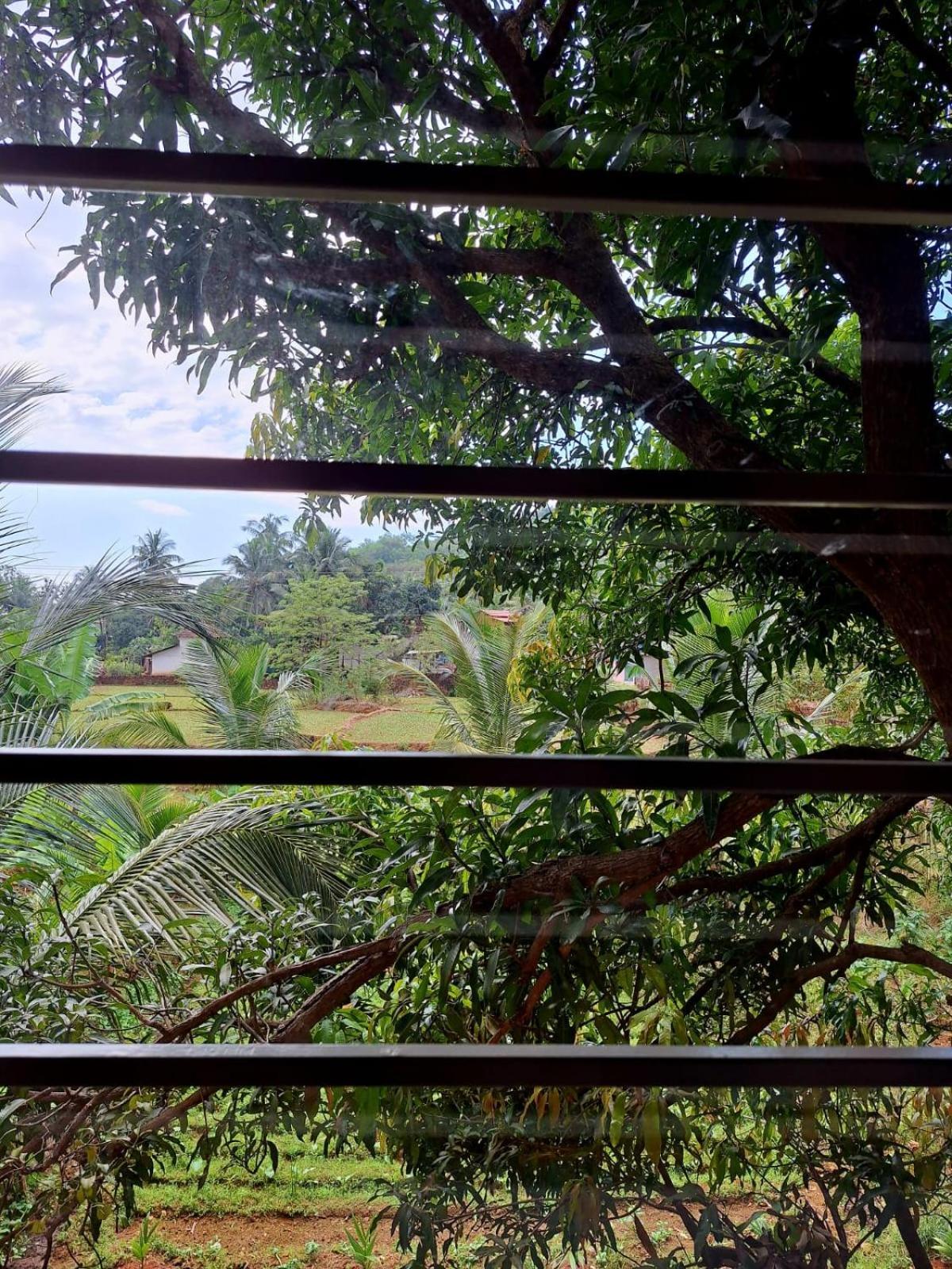 Mangrove Ecostay Homestay