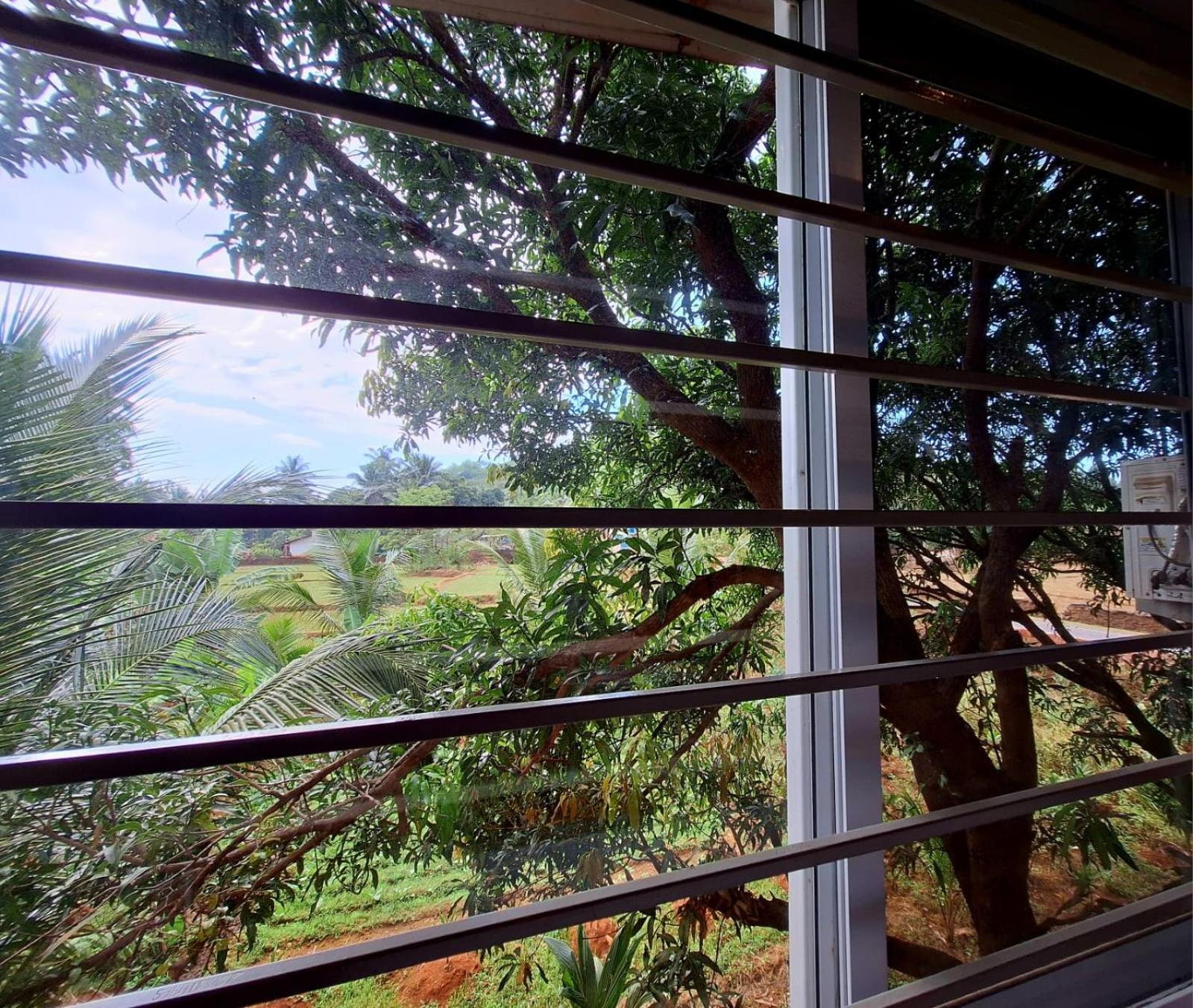 Mangrove Ecostay