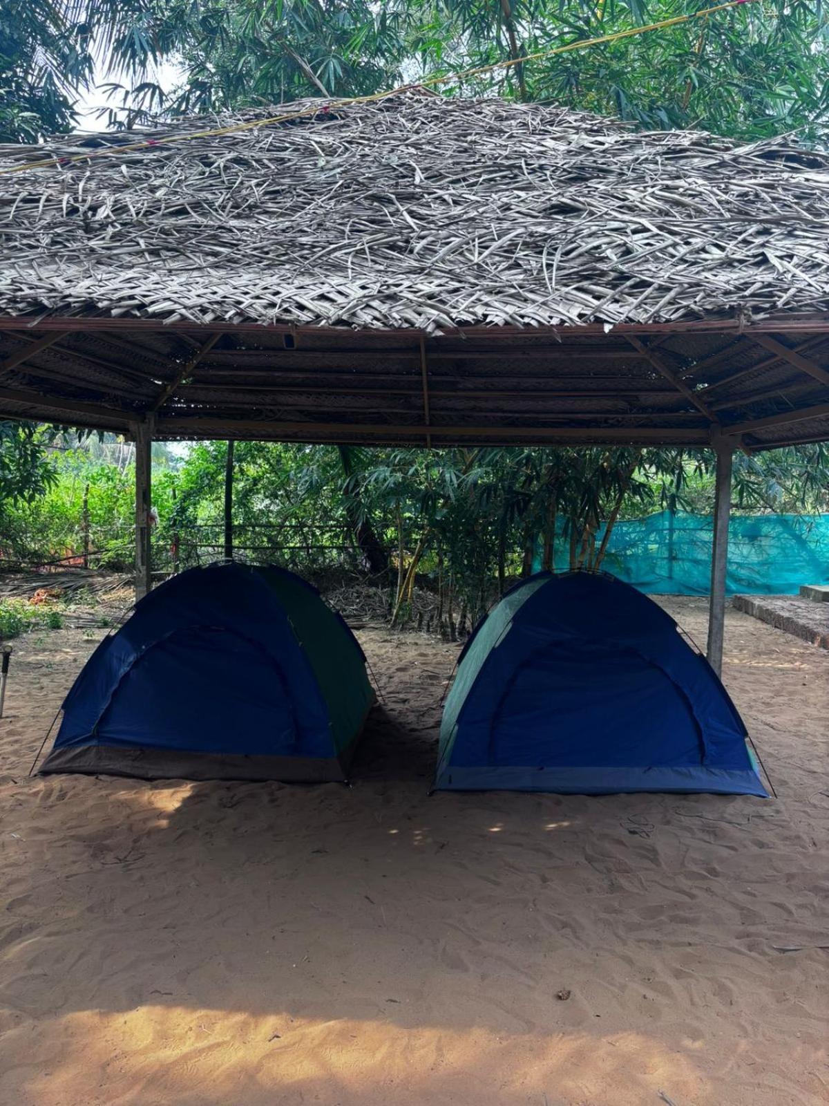 Kalpavruksha *