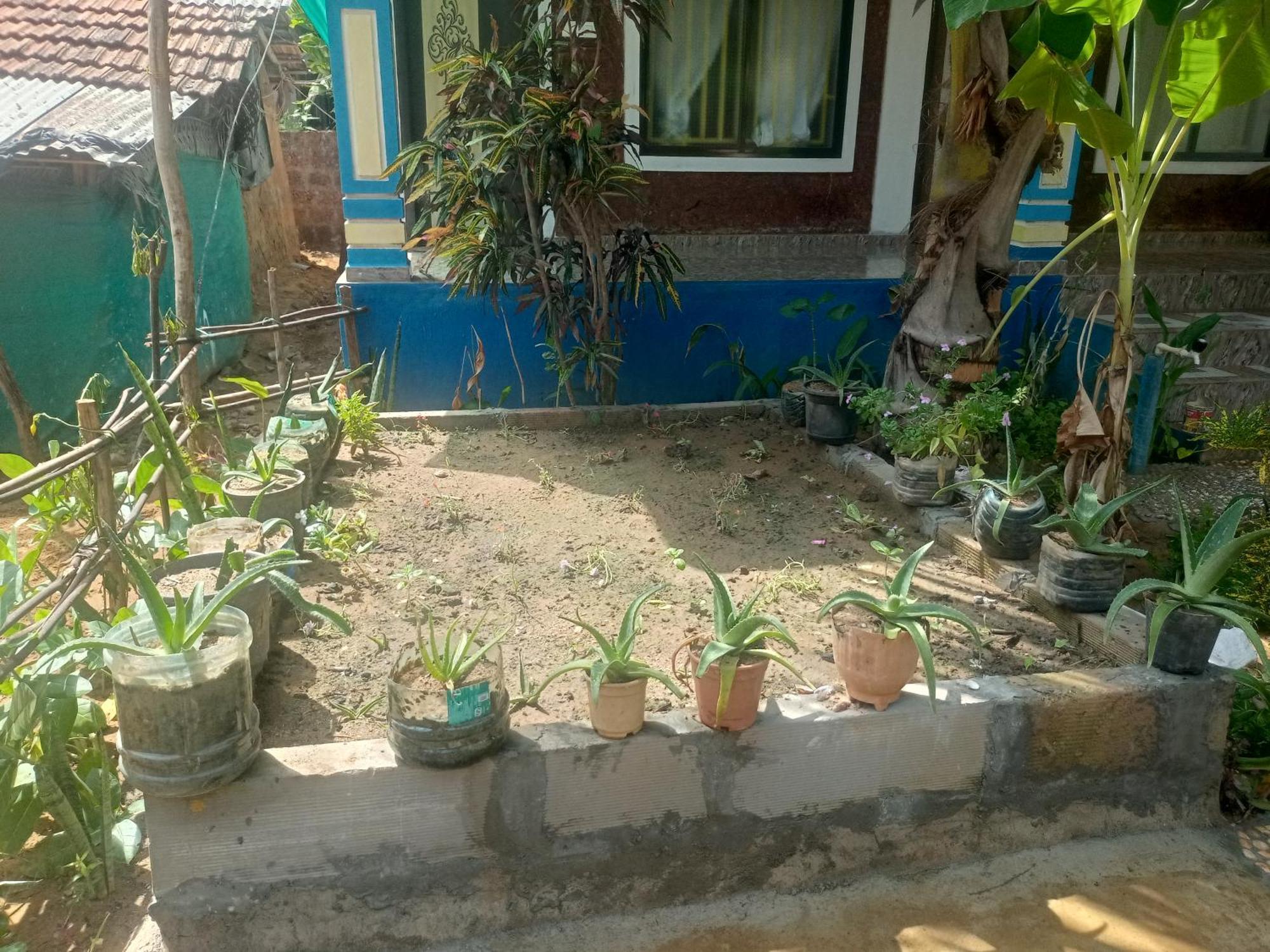 Gangotri Cafe And * Gokarna (Karnataka)
