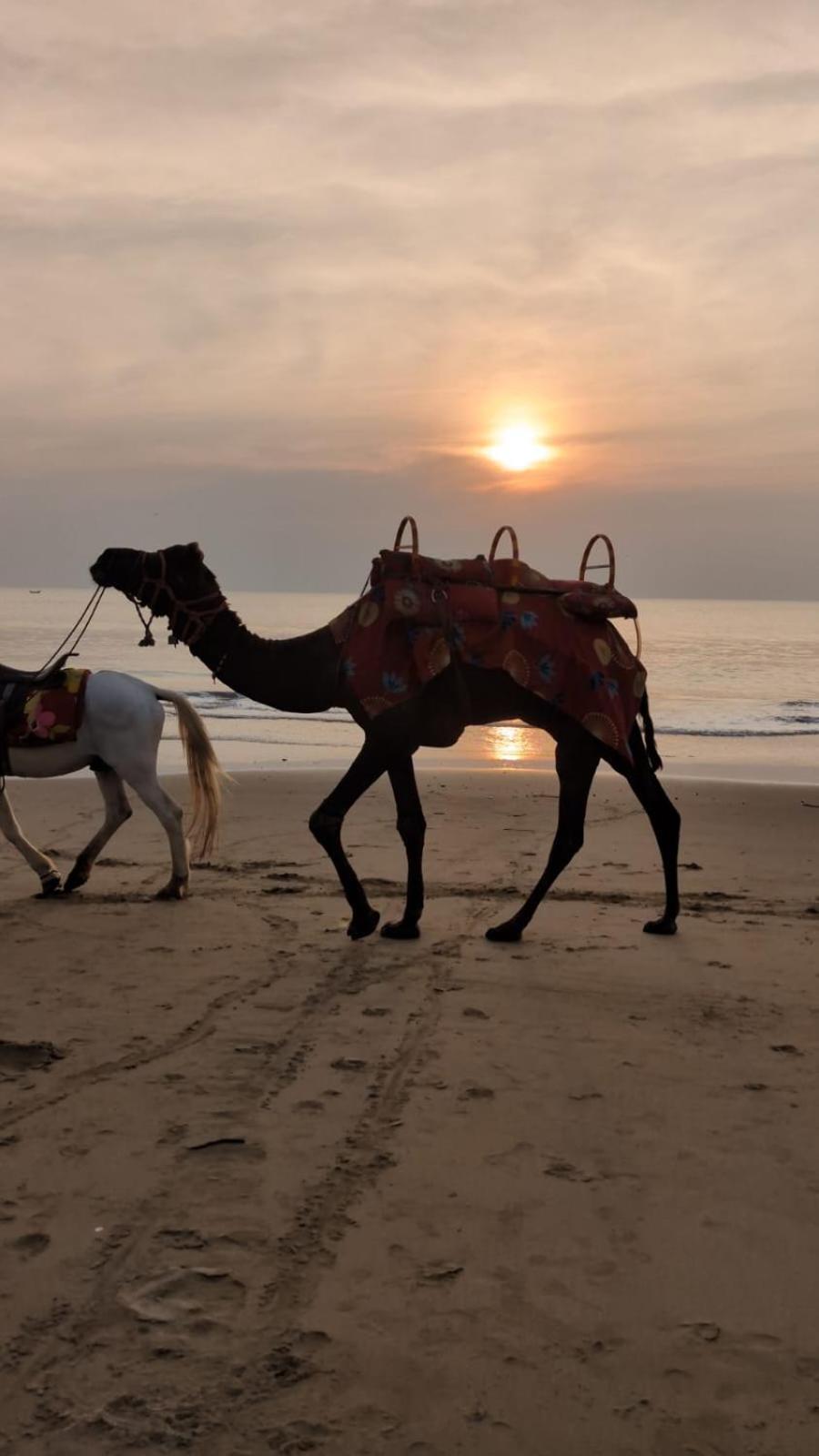 Aura By The Sea - A Unit Of Vivasa Leisure Gokarna (Karnataka)