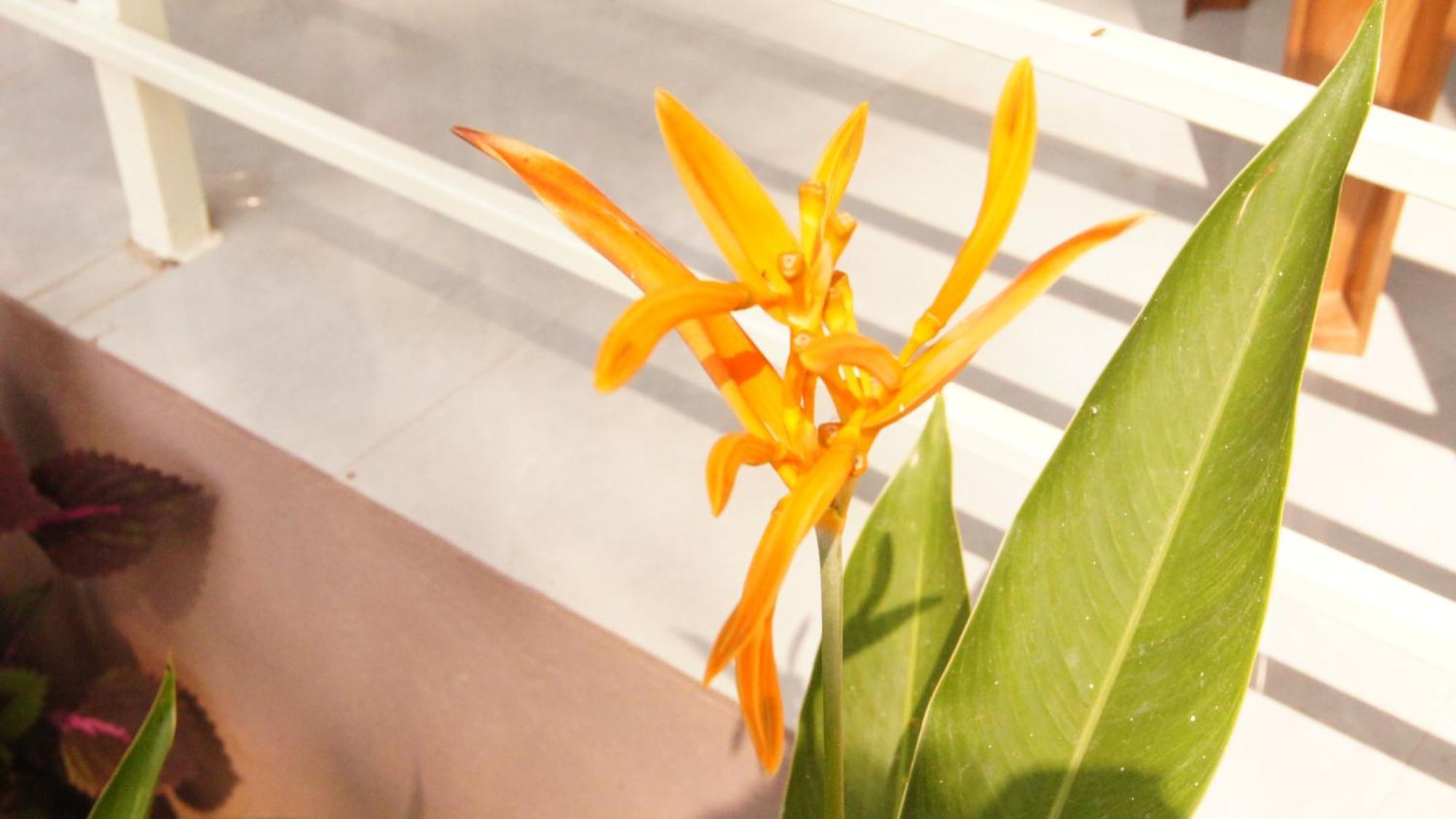 Aura By The Sea - A Unit Of Vivasa Leisure Homestay