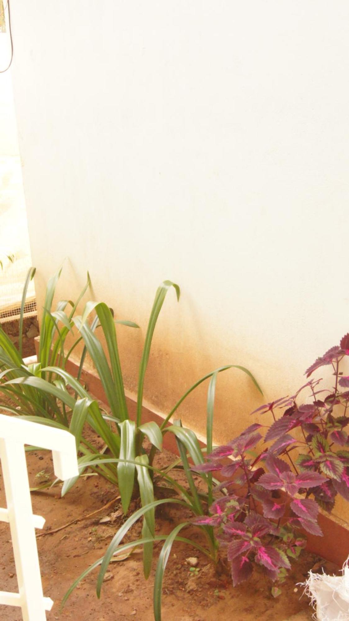 Aura By The Sea - A Unit Of Vivasa Leisure Homestay *