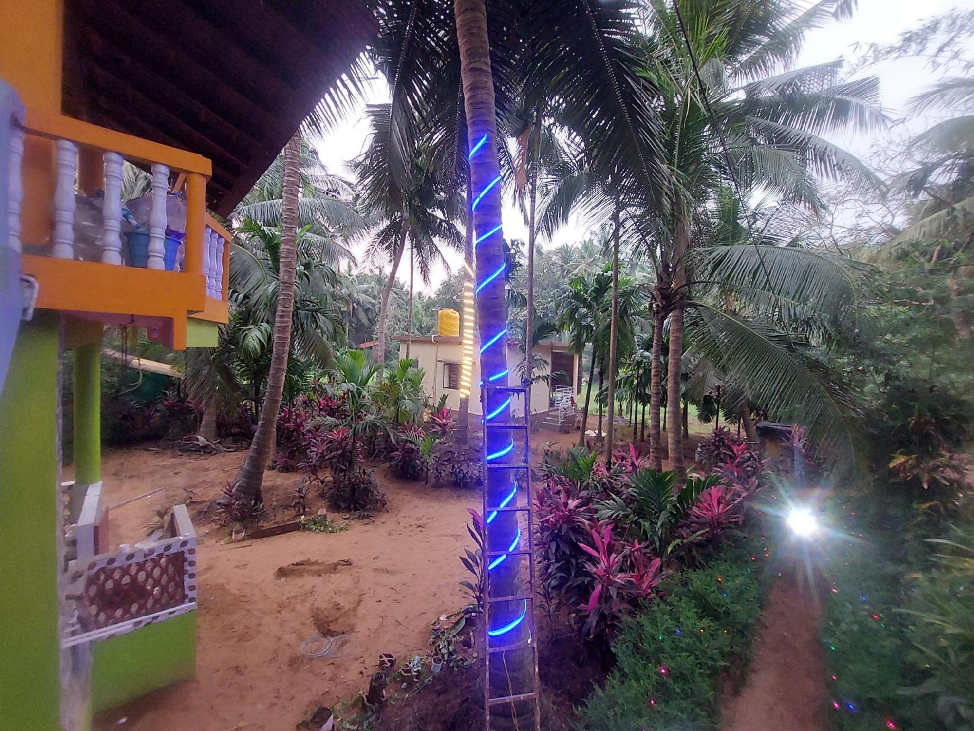 Areca Nest Farm stay Gokarna (Karnataka)