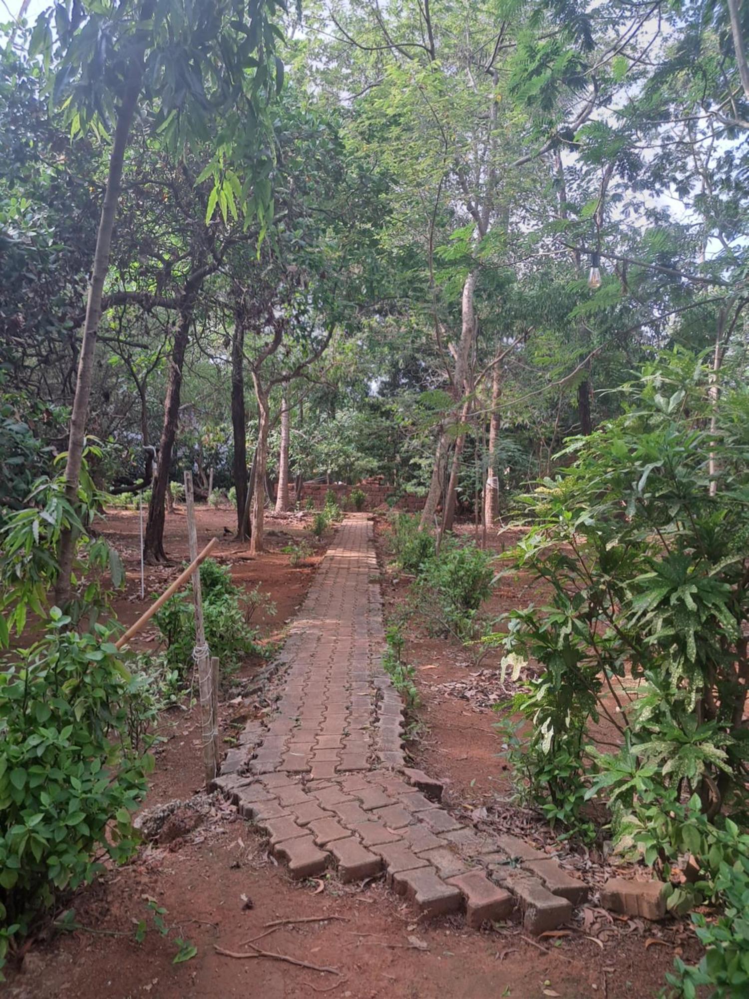 Aangan By Gokarma Living Hostel Gokarna (Karnataka)