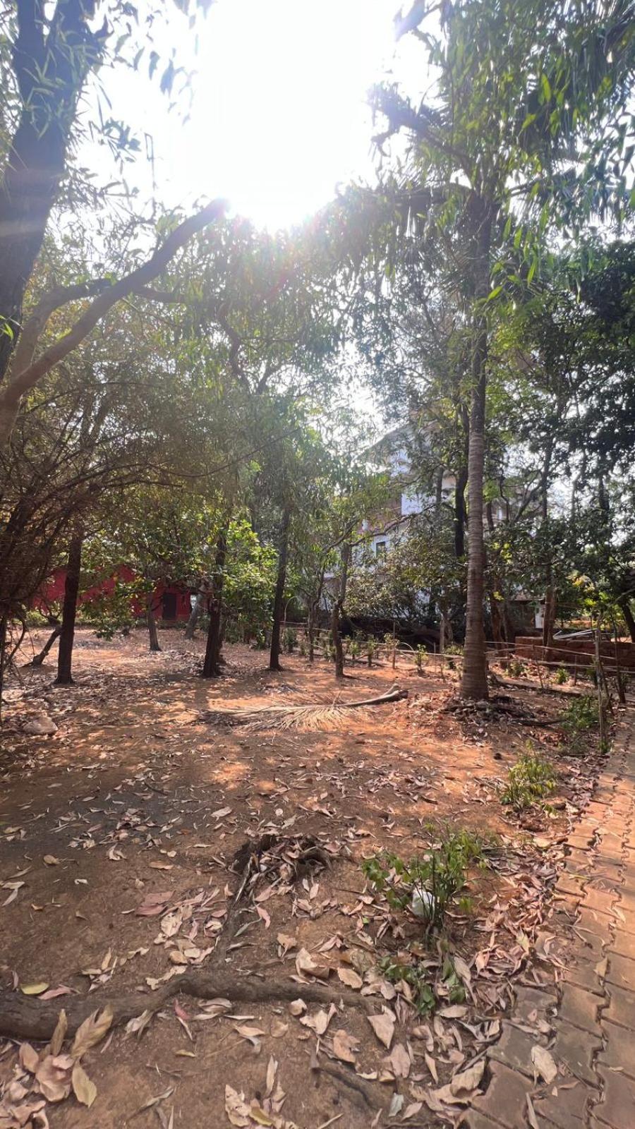 Hostel Aangan By Gokarma Living *
