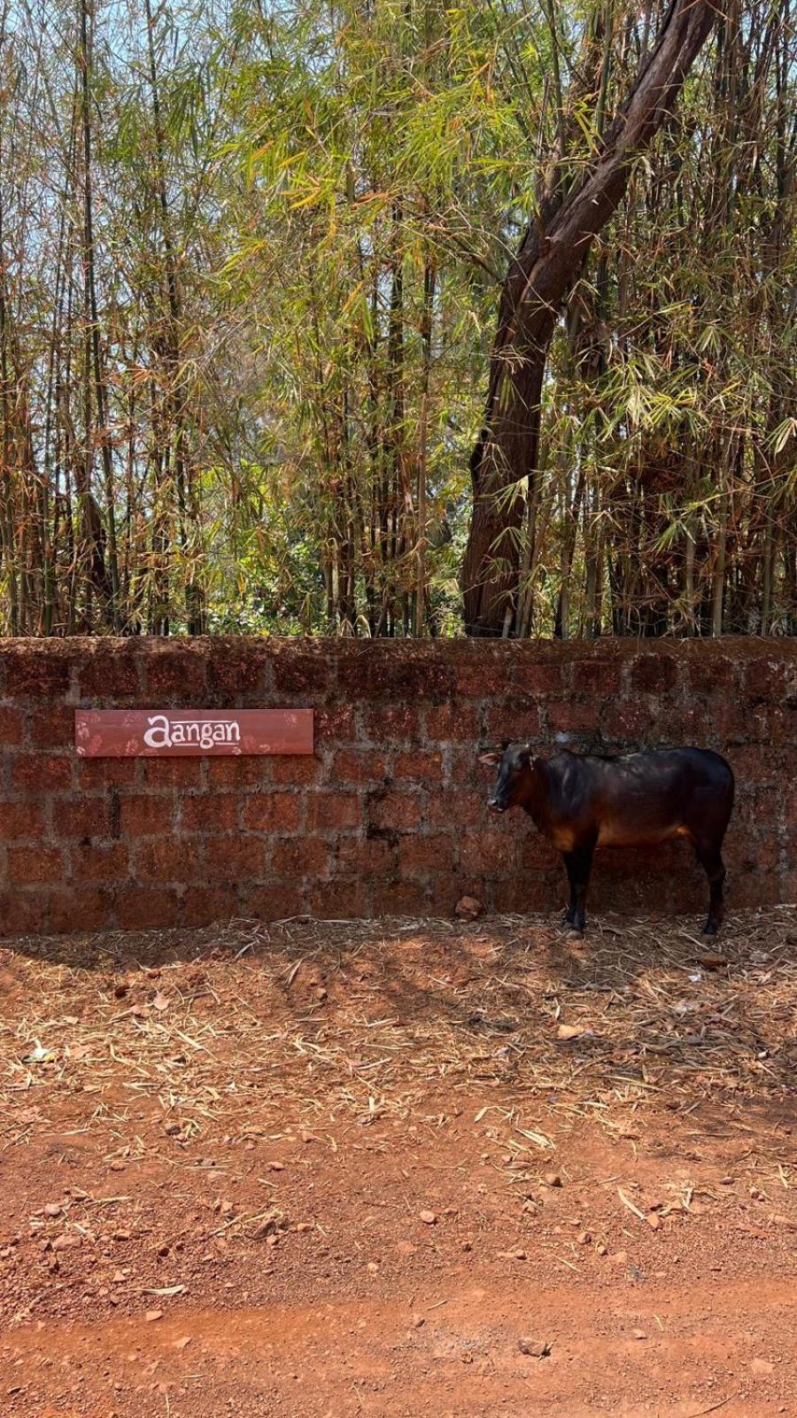 Aangan By Gokarma Living Gokarna (Karnataka)