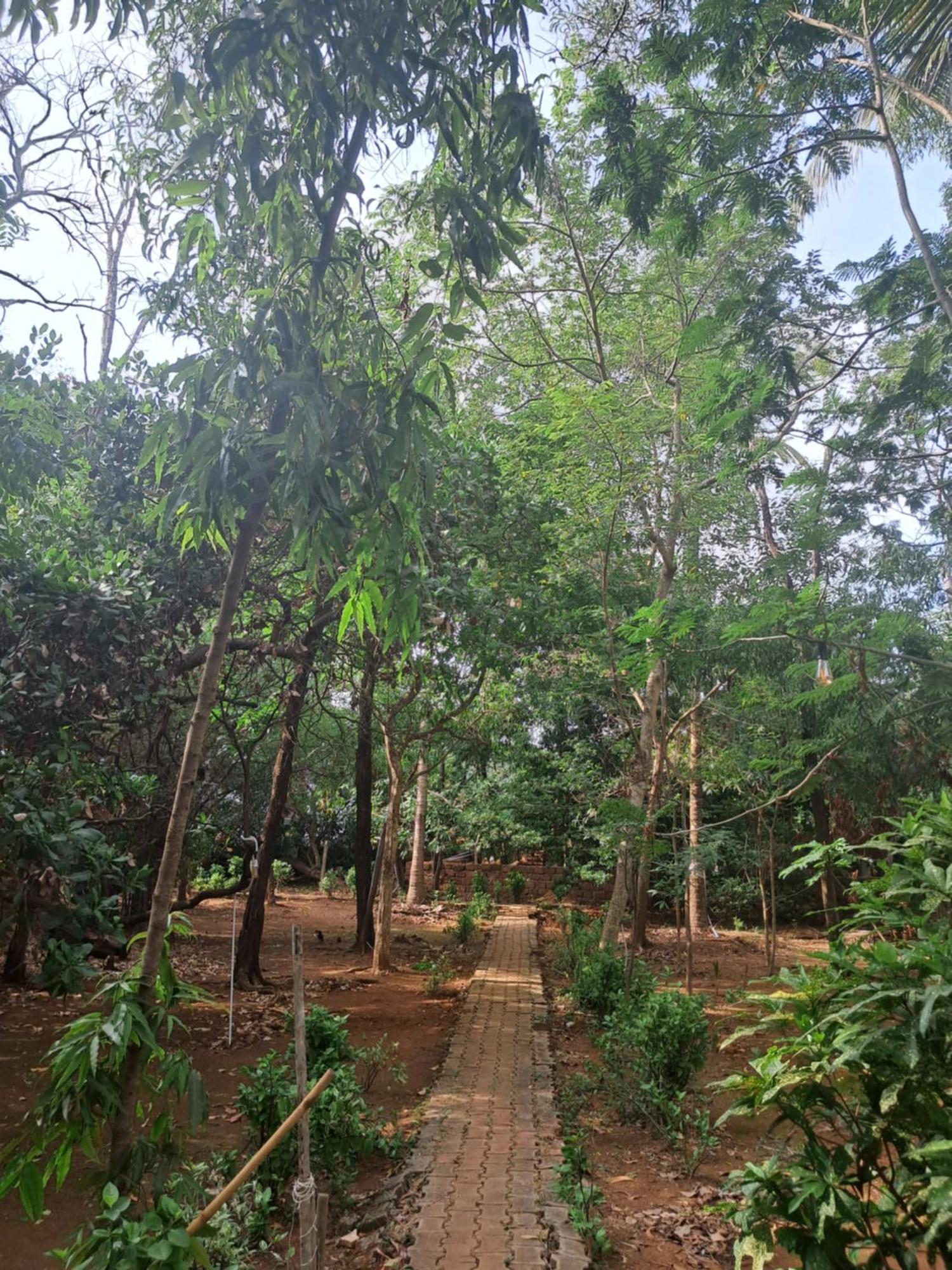 Aangan By Gokarma Living * Gokarna (Karnataka)