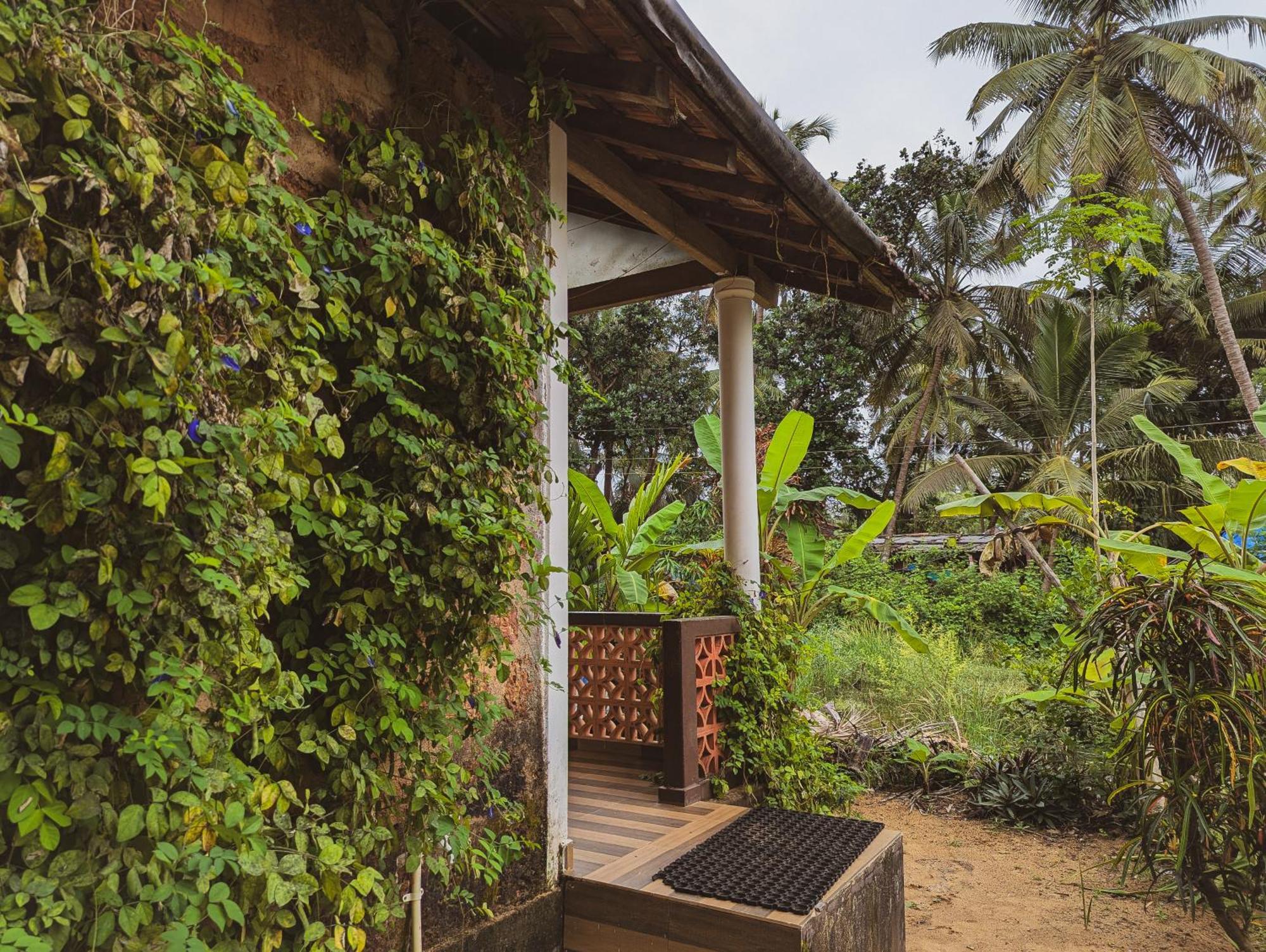 Sunset Cafe * Gokarna (Karnataka)