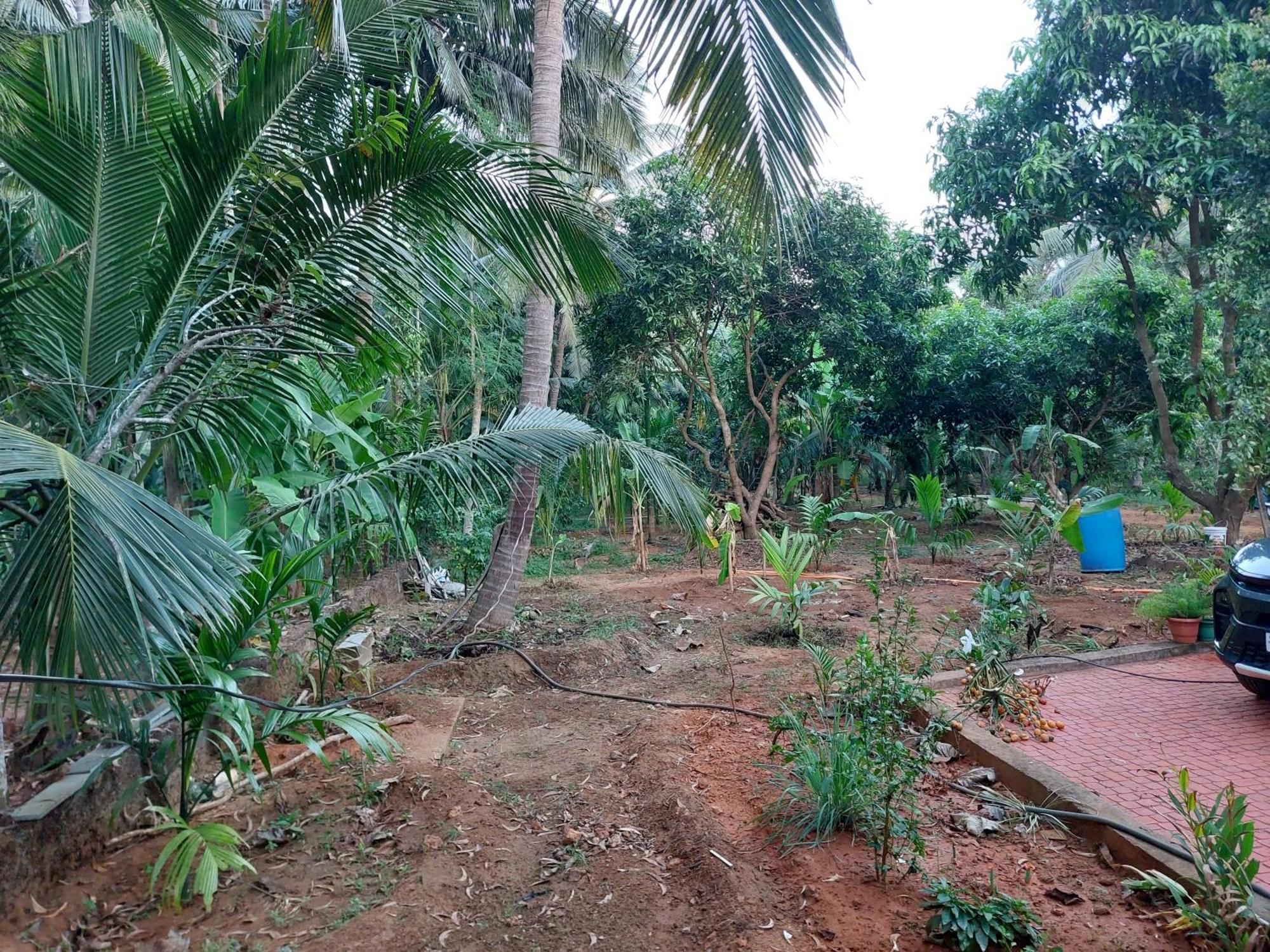 Vill Brahmi Gokarna Villa *