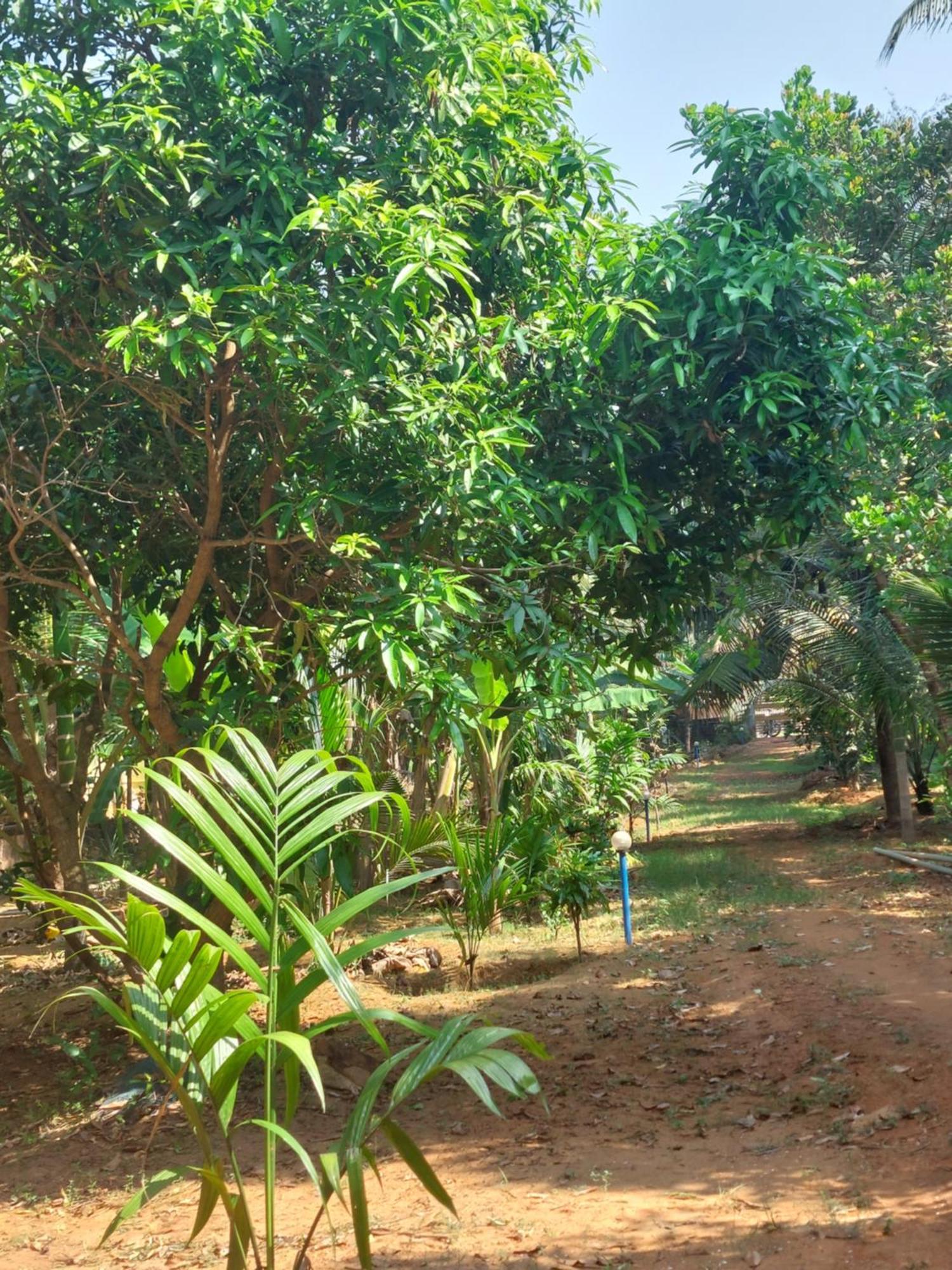 Vill Brahmi Gokarna