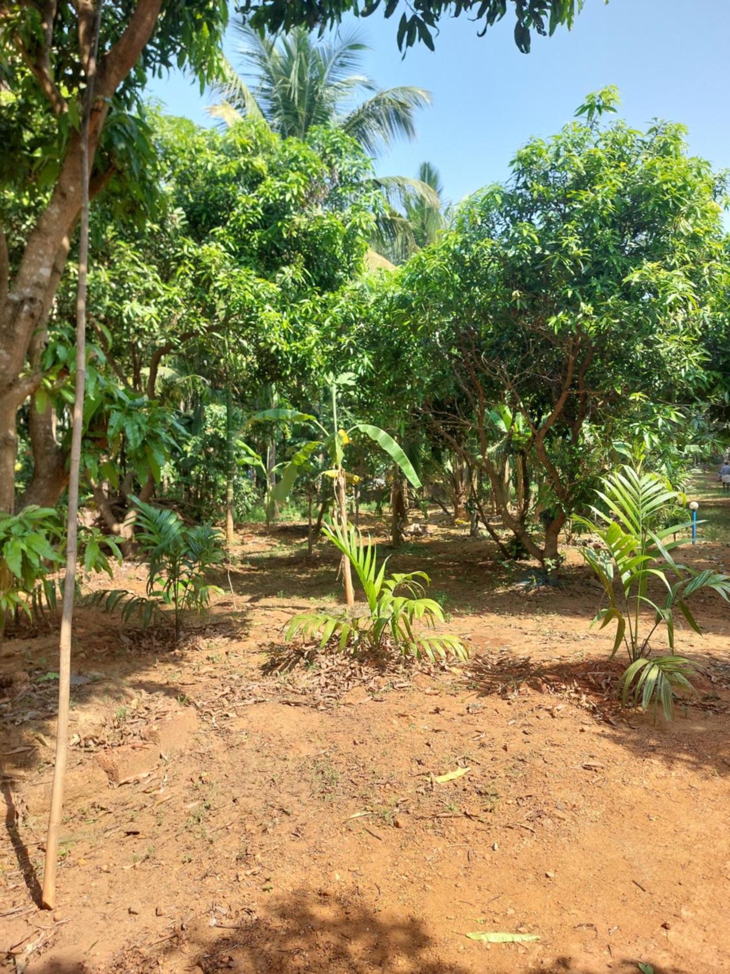 Vill Brahmi Gokarna Villa *