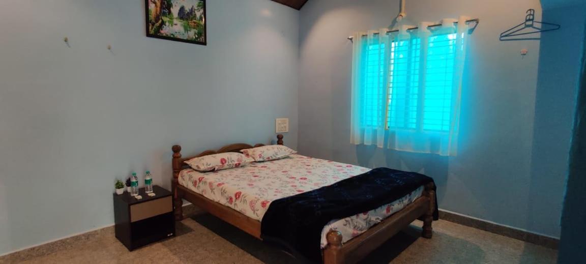 Areca Nest *