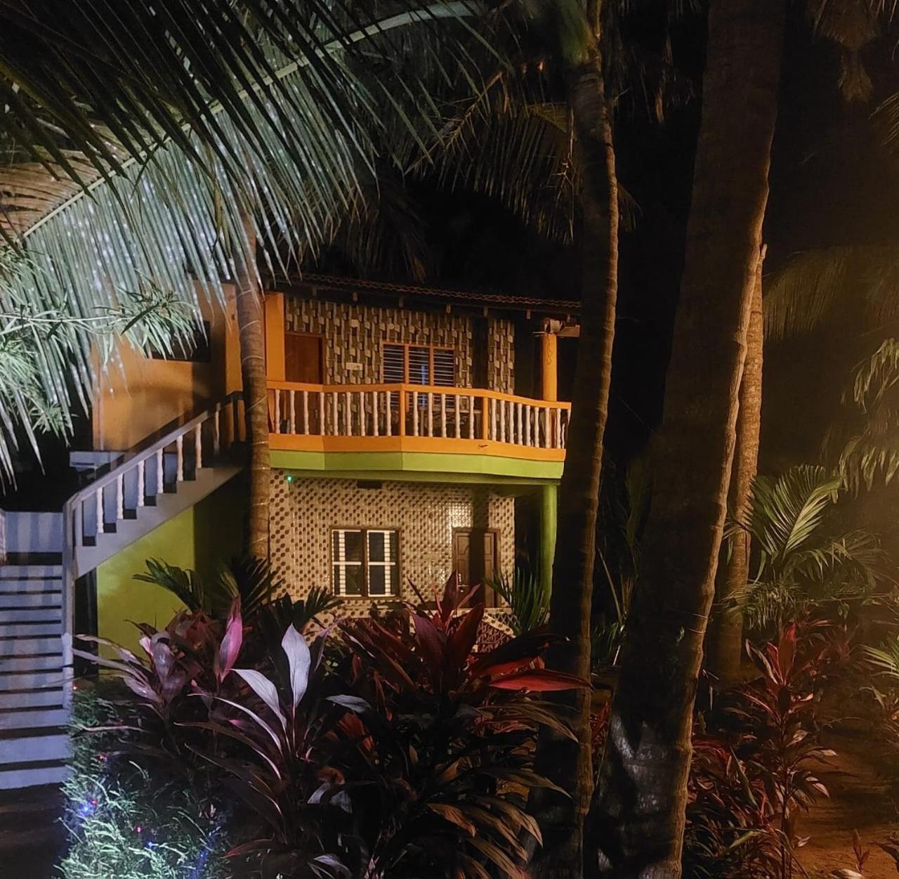 Areca Nest *
