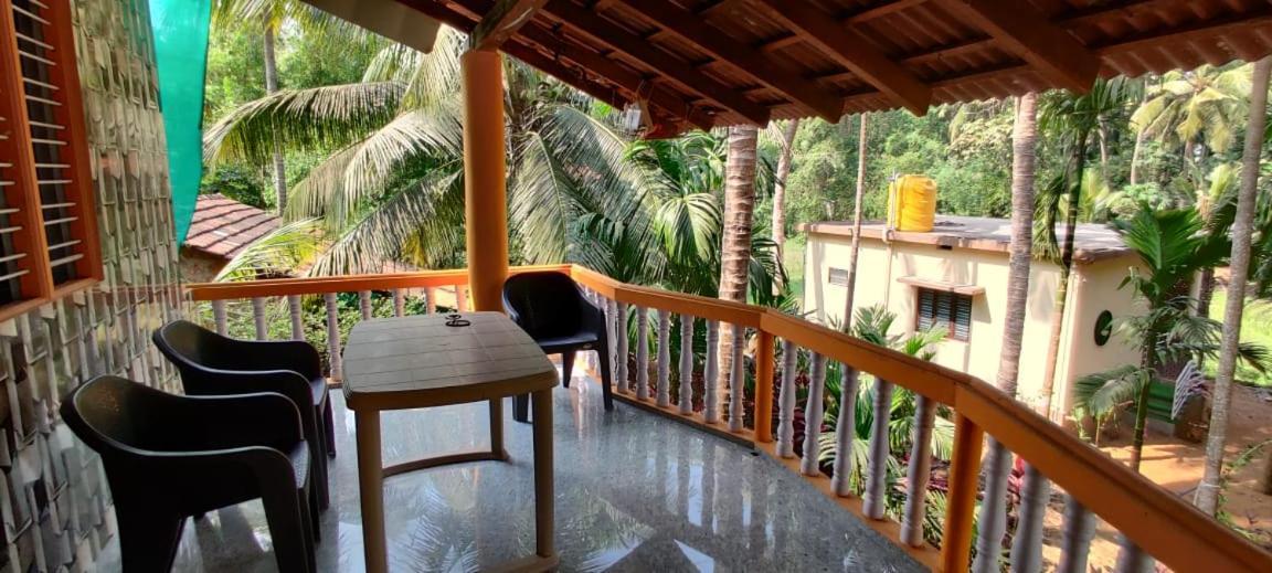 Areca Nest * Gokarna (Karnataka)