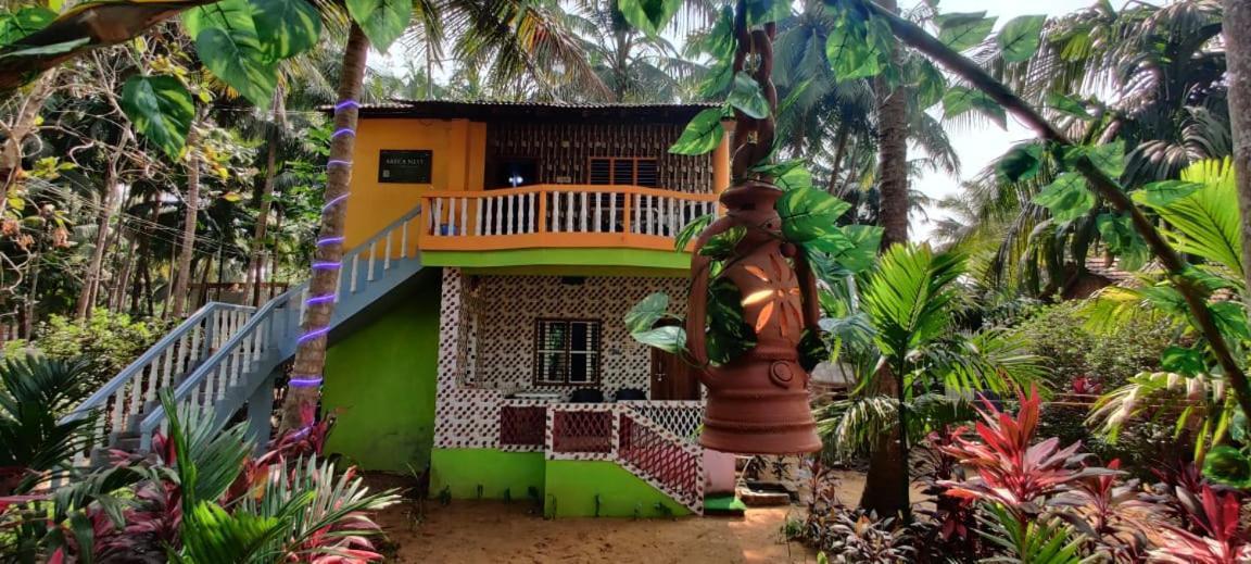 Areca Nest