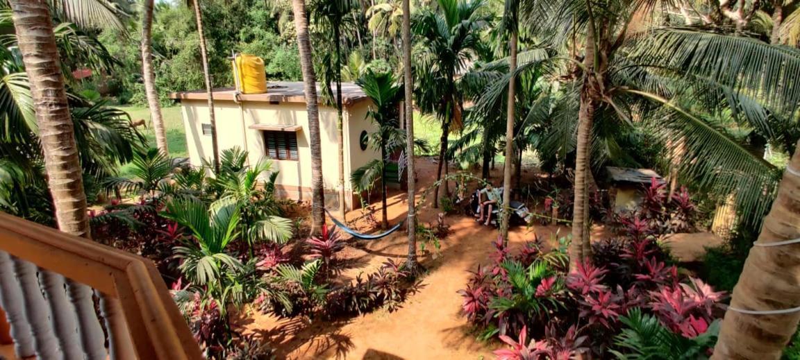 Areca Nest Gokarna (Karnataka)
