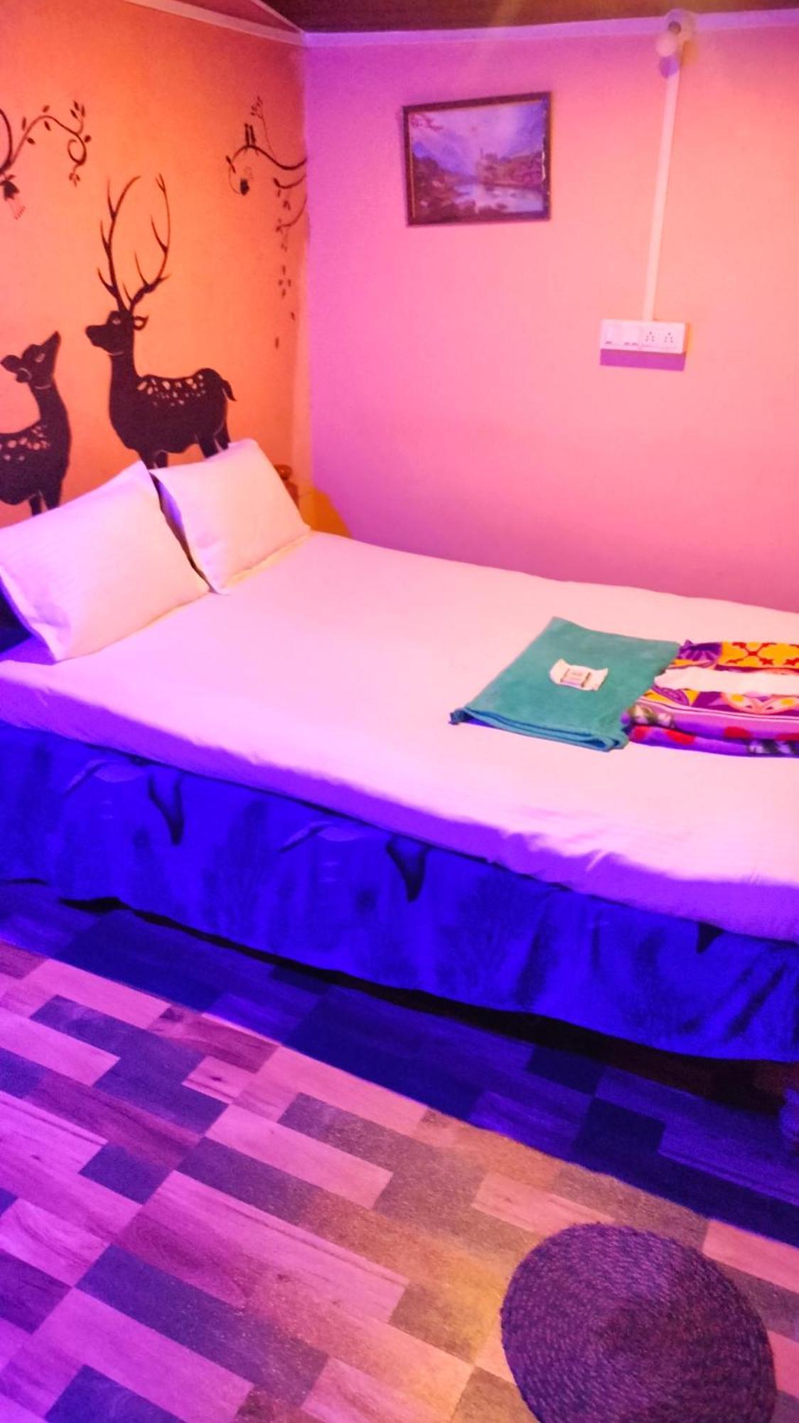 Dolphin Holiday home *
