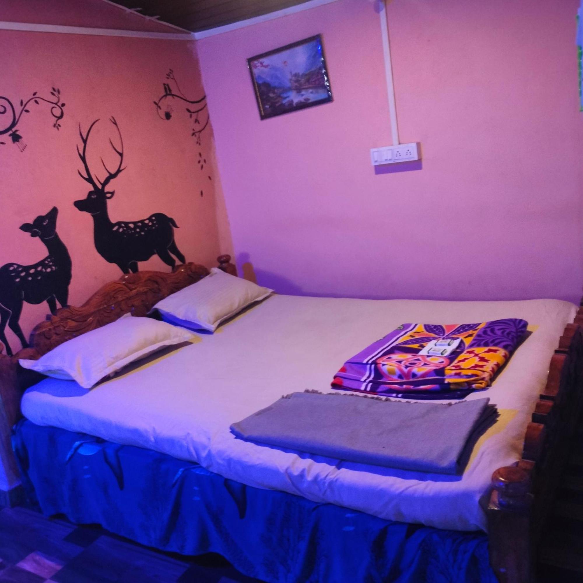Dolphin Holiday home *