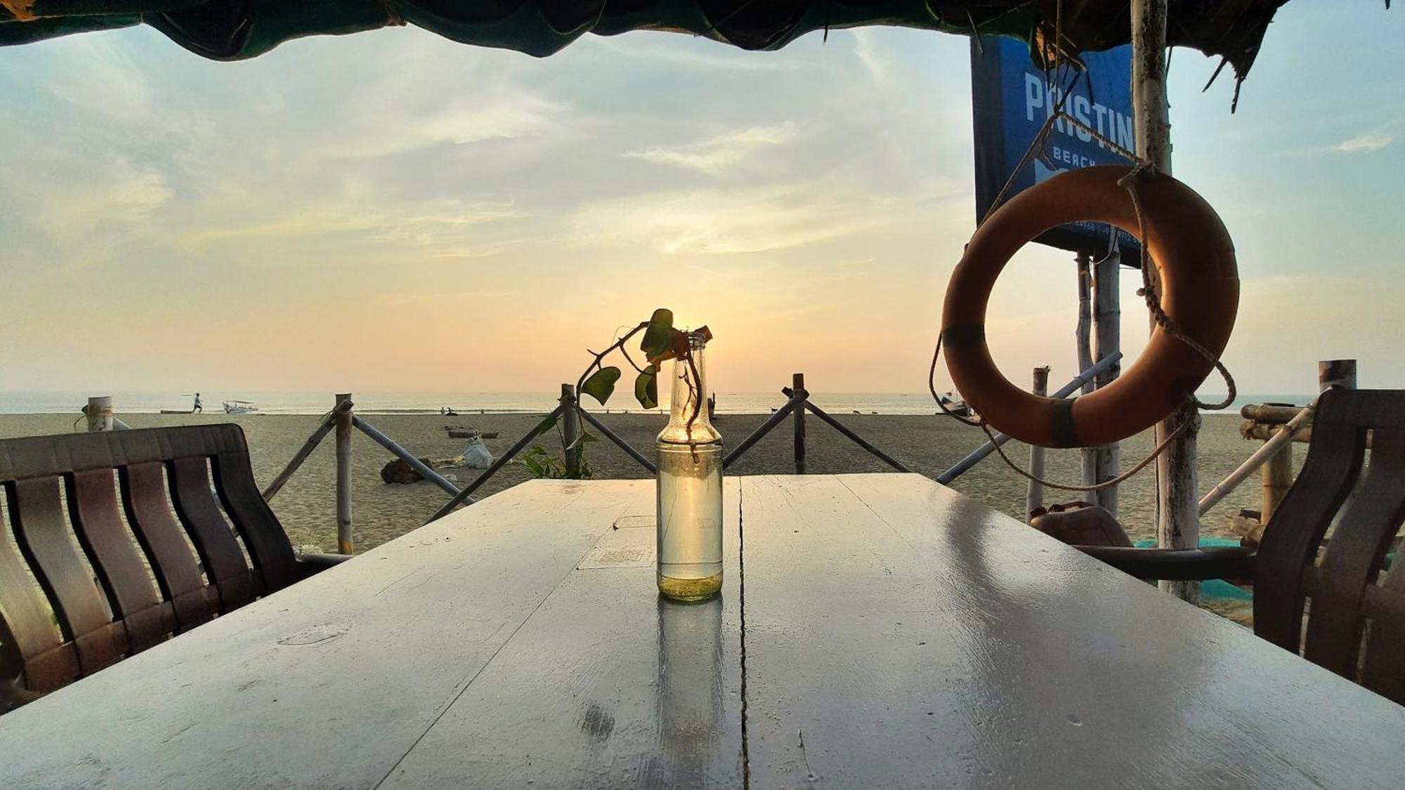 Turtle's Gokarna *