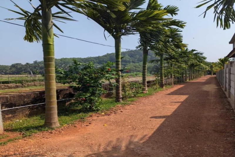 Hotel The Hideaway By Enlightened Vagabond Gokarna (Karnataka)