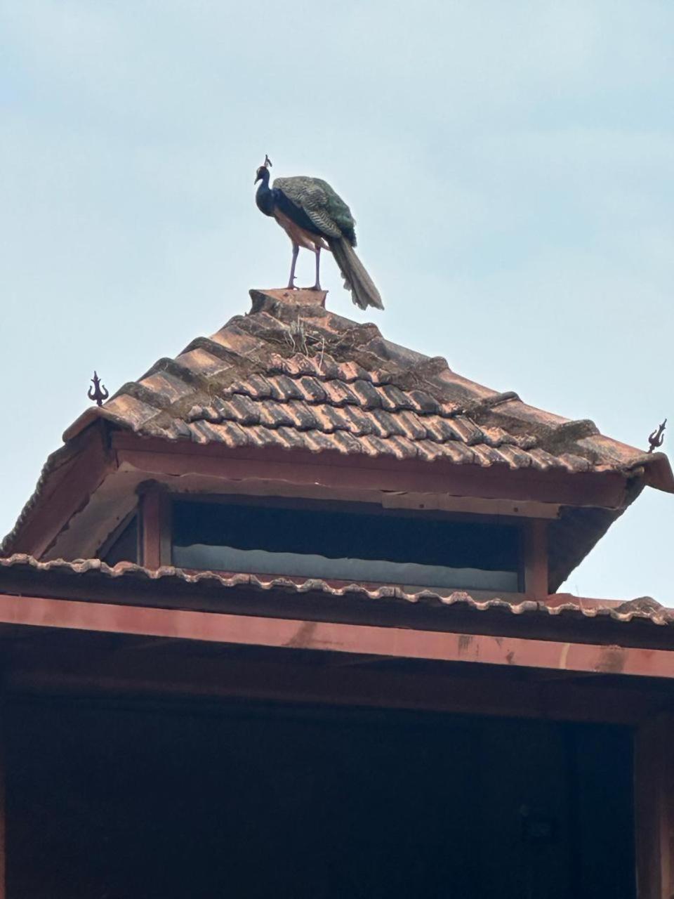 With Ac Near Gokarna Bhavikodla Villa