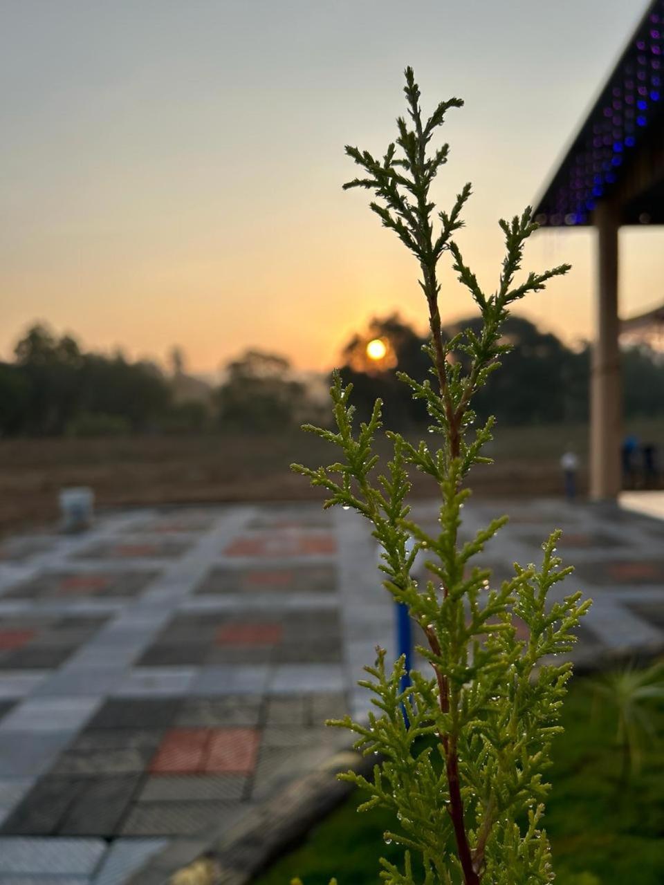 Yashovana Nature Gokarna 3*