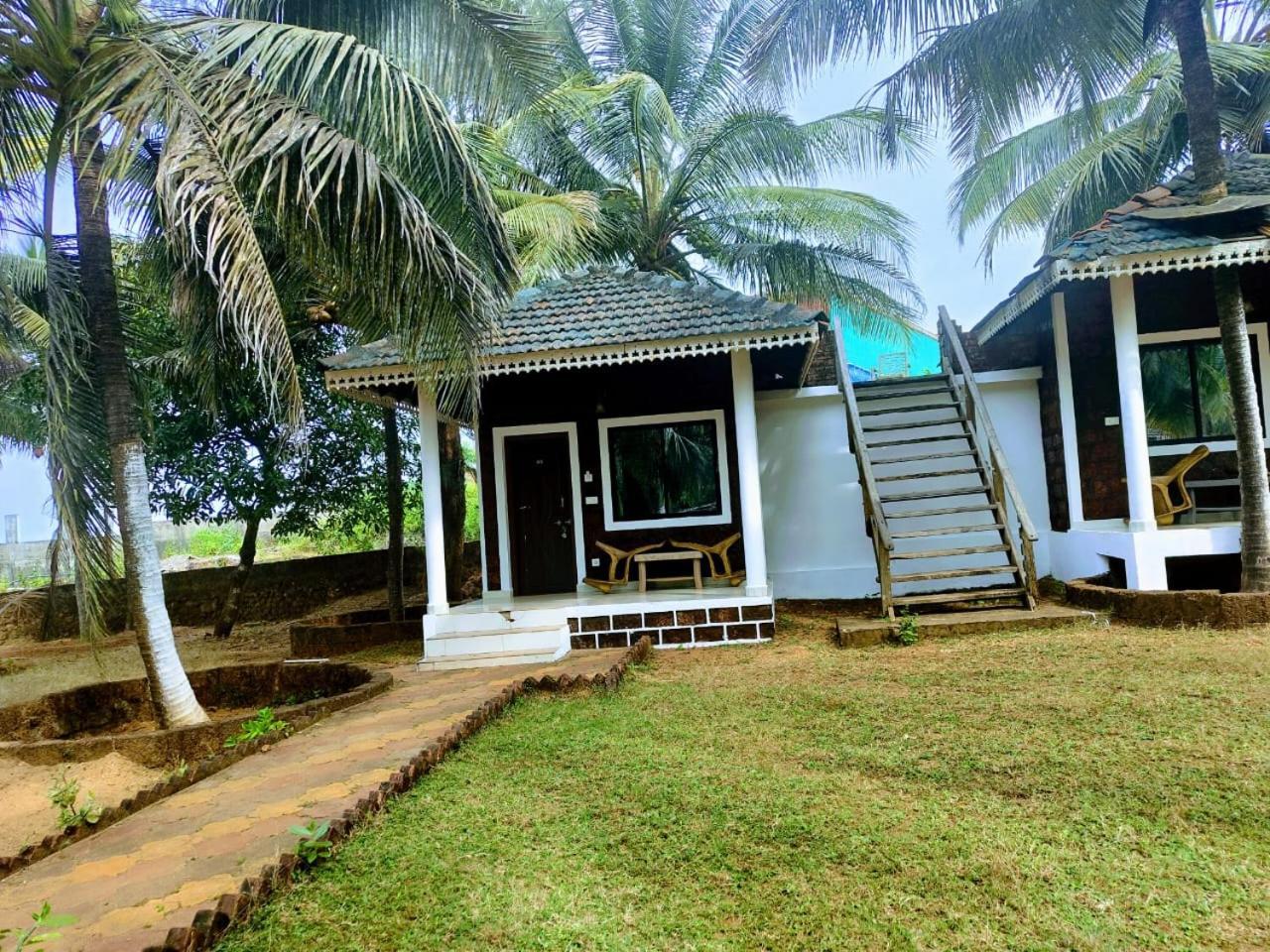 Coconut Tree Gokarna Gokarna (Karnataka)
